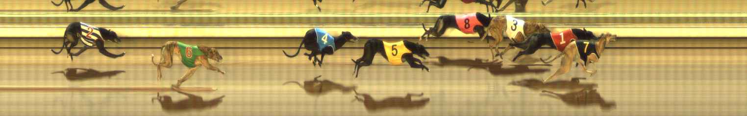 Photo finish for The Meadows Race 9