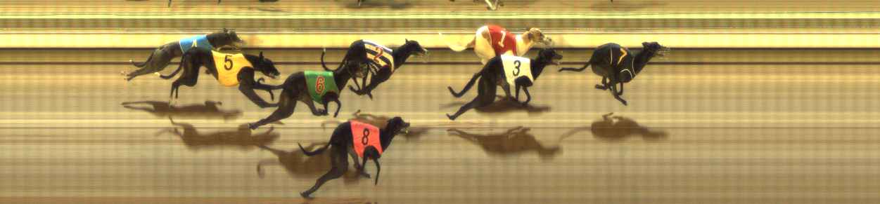Photo finish for The Meadows Race 10