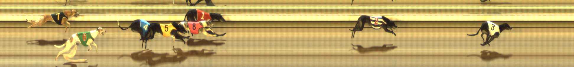 Photo finish for The Meadows Race 11