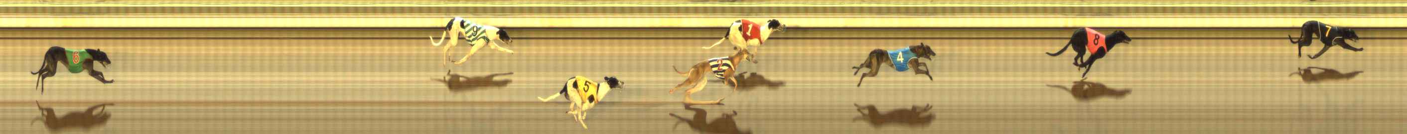 Photo finish for The Meadows Race 12
