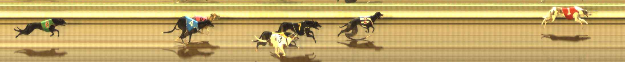 Photo finish for The Meadows Race 1