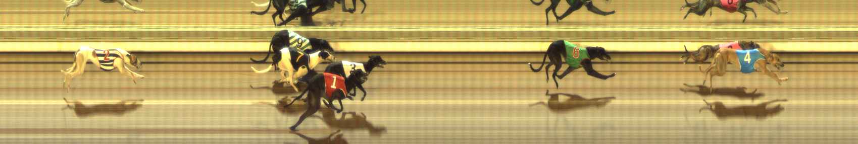 Photo finish for The Meadows Race 2
