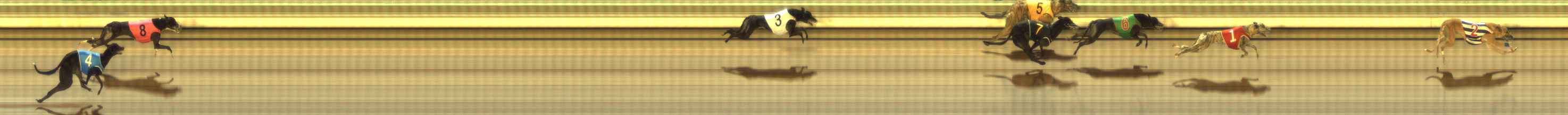 Photo finish for The Meadows Race 3