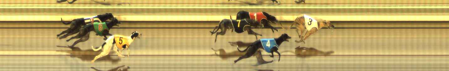 Photo finish for The Meadows Race 4