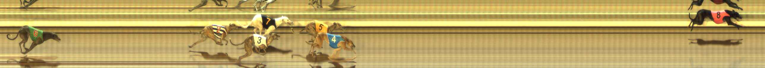 Photo finish for The Meadows Race 5