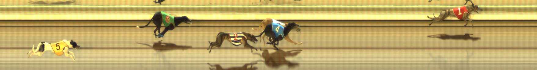 Photo finish for The Meadows Race 6