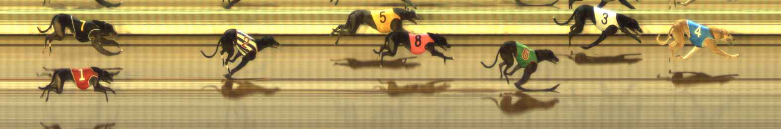 Photo finish for The Meadows Race 7