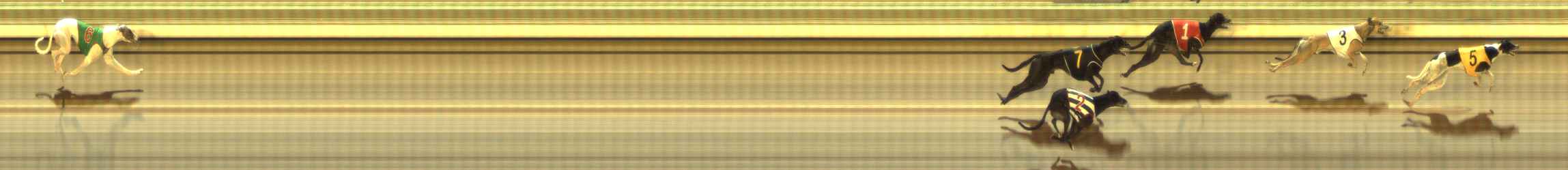 Photo finish for The Meadows Race 8