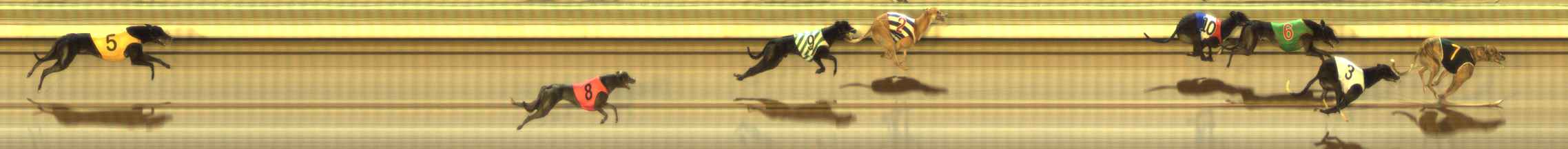 Photo finish for The Meadows Race 9