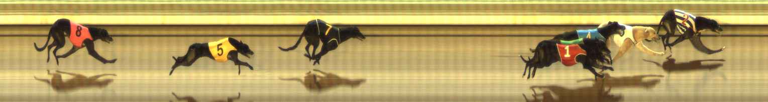 Photo finish for The Meadows Race 10
