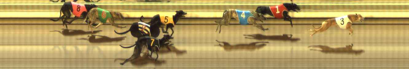 Photo finish for The Meadows Race 11
