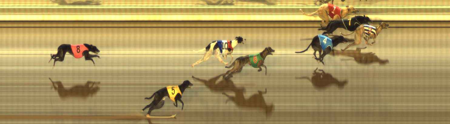 Photo finish for The Meadows Race 12