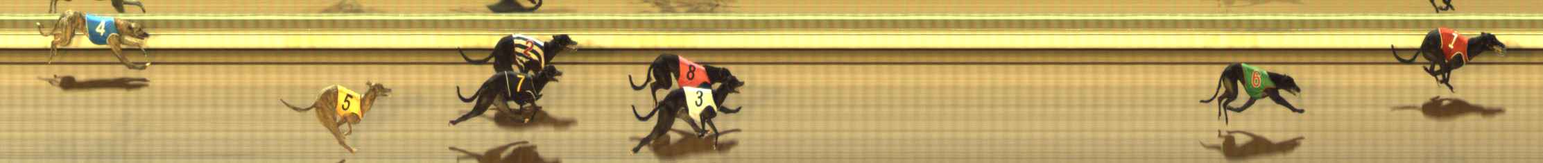 Photo finish for The Meadows Race 2