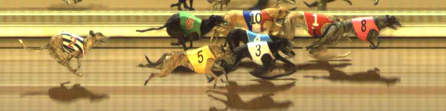 Photo finish for The Meadows Race 3