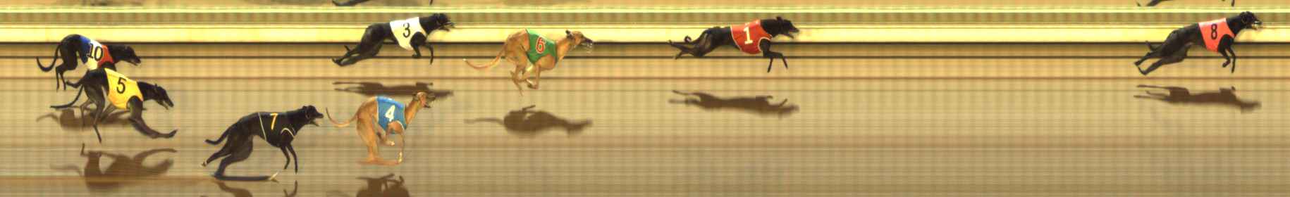 Photo finish for The Meadows Race 4