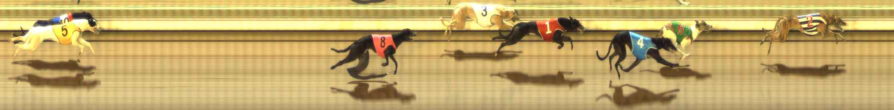 Photo finish for The Meadows Race 5