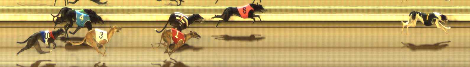 Photo finish for The Meadows Race 6