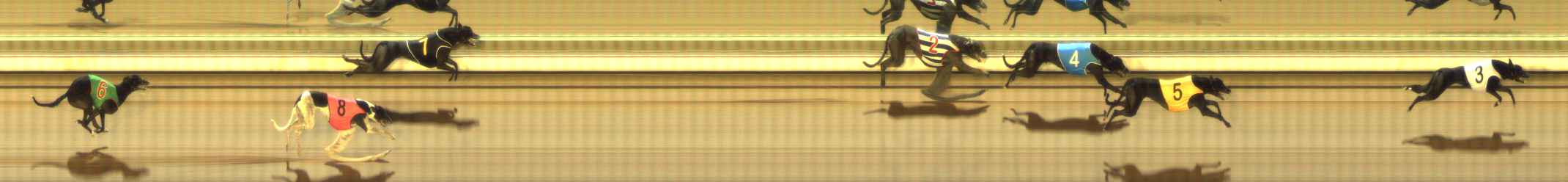 Photo finish for The Meadows Race 7