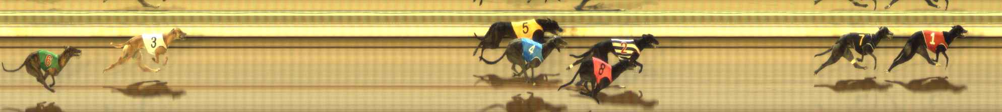 Photo finish for The Meadows Race 8