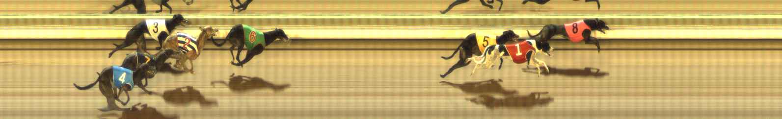Photo finish for The Meadows Race 9