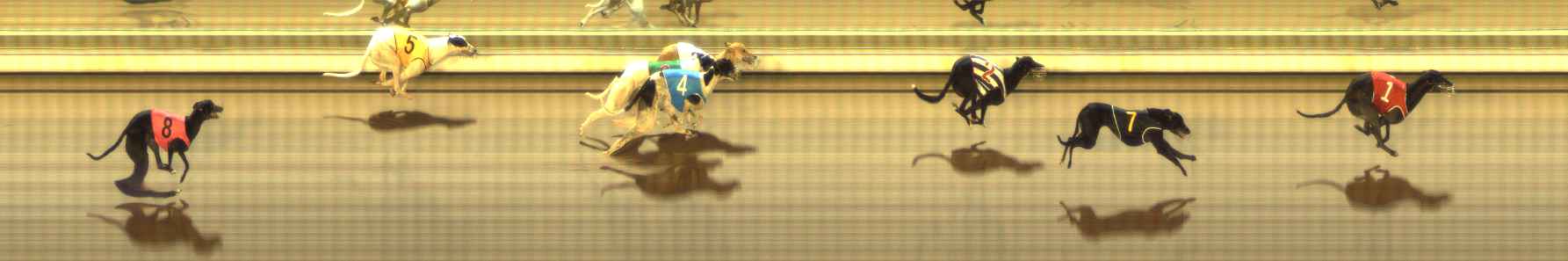Photo finish for The Meadows Race 10