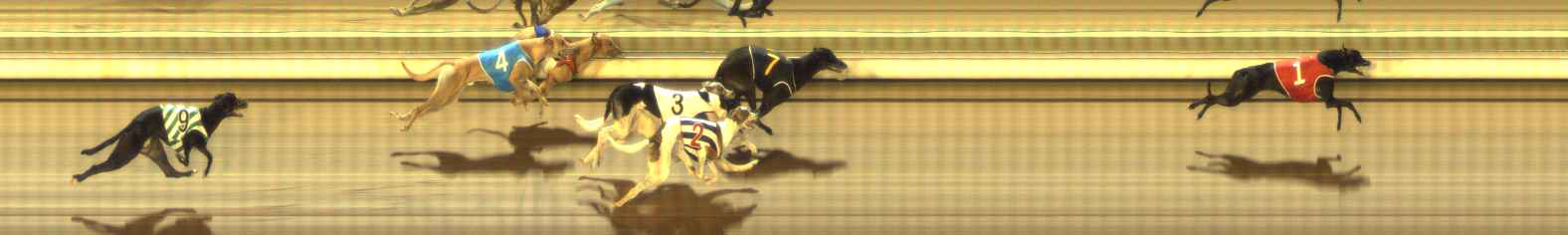 Photo finish for The Meadows Race 11