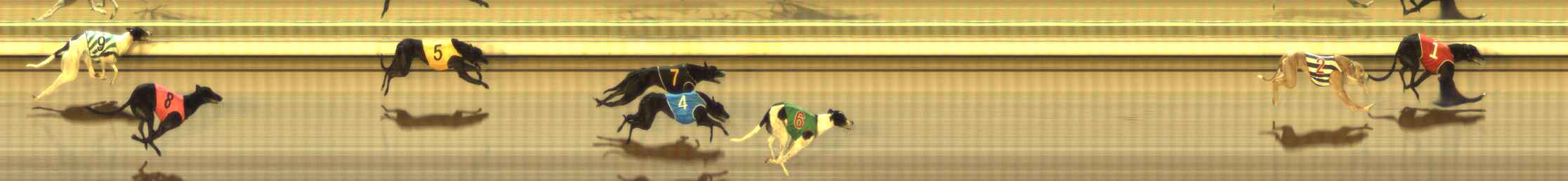 Photo finish for The Meadows Race 12