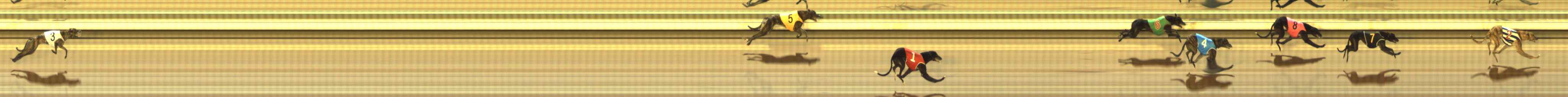 Photo finish for The Meadows Race 1