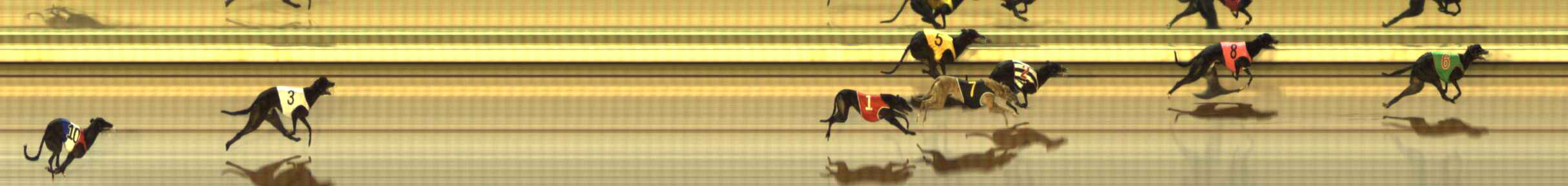 Photo finish for The Meadows Race 2