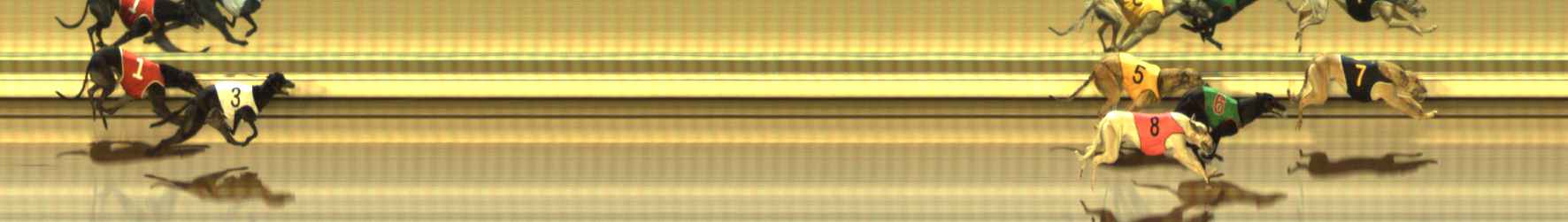 Photo finish for The Meadows Race 3