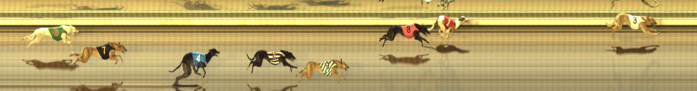 Photo finish for The Meadows Race 4