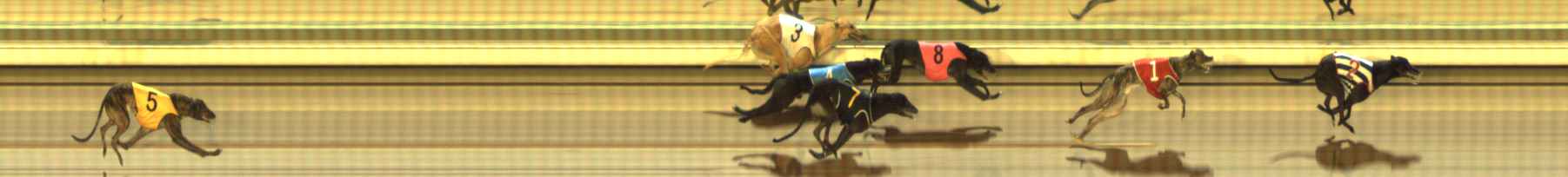 Photo finish for The Meadows Race 5
