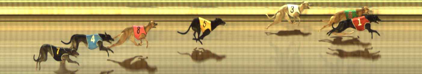 Photo finish for The Meadows Race 6