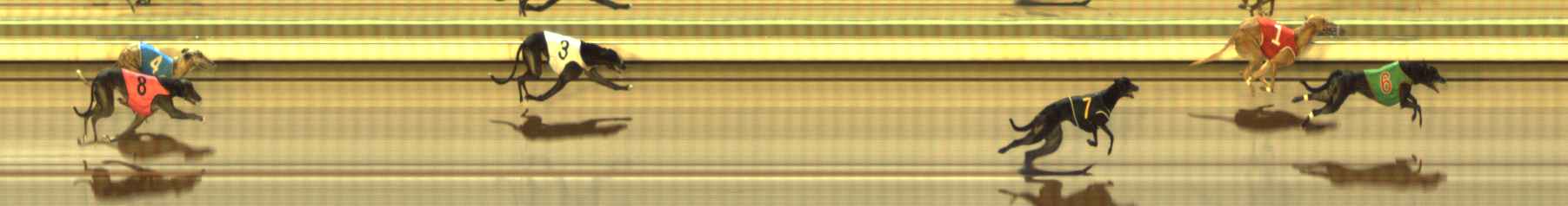 Photo finish for The Meadows Race 8