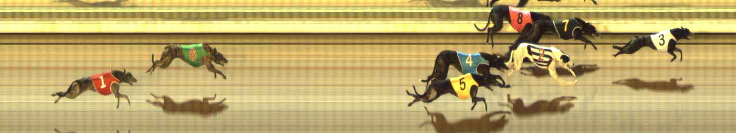 Photo finish for The Meadows Race 9