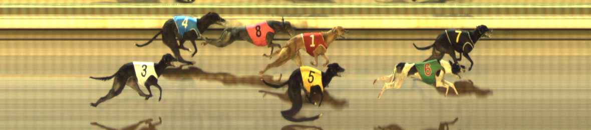 Photo finish for The Meadows Race 10