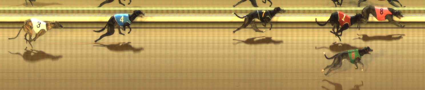 Photo finish for The Meadows Race 1