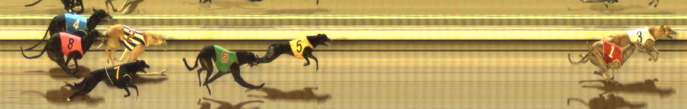 Photo finish for The Meadows Race 2