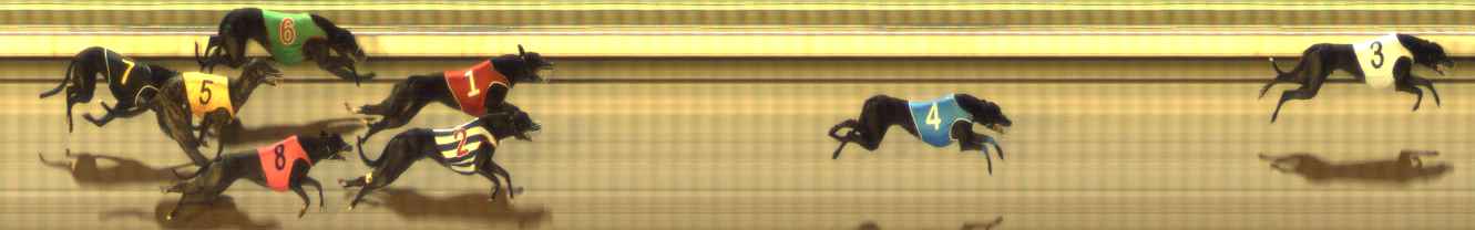 Photo finish for The Meadows Race 3