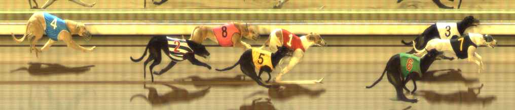 Photo finish for The Meadows Race 4