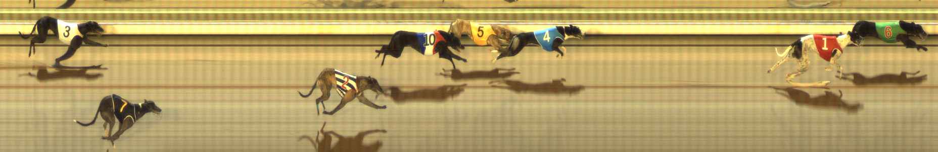 Photo finish for The Meadows Race 5