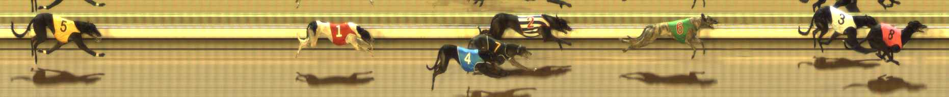 Photo finish for The Meadows Race 6