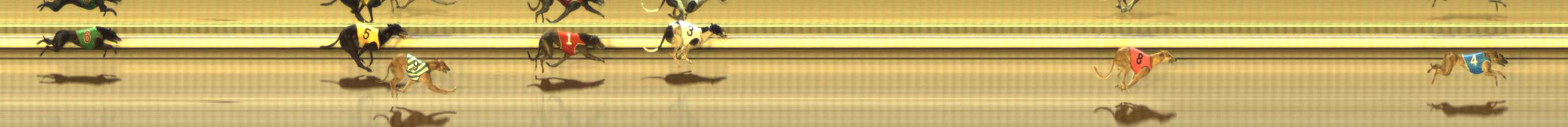 Photo finish for The Meadows Race 7