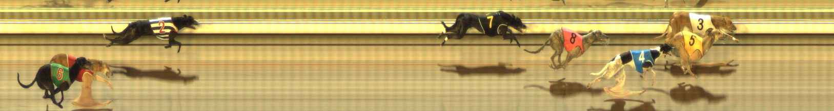 Photo finish for The Meadows Race 8