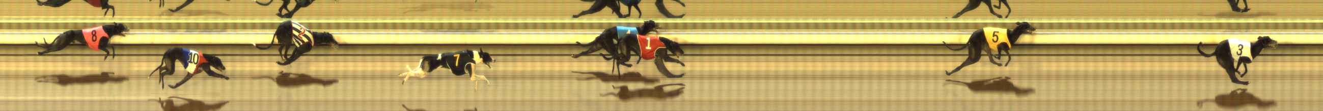 Photo finish for The Meadows Race 9