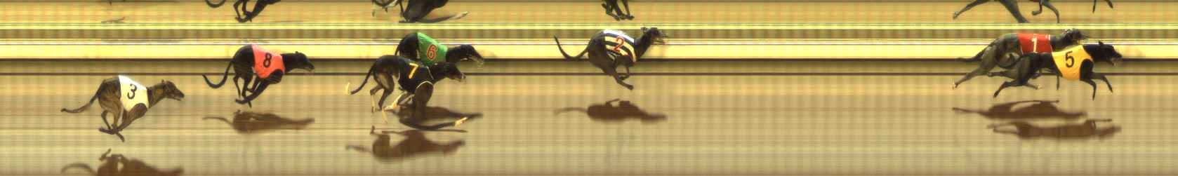 Photo finish for The Meadows Race 10