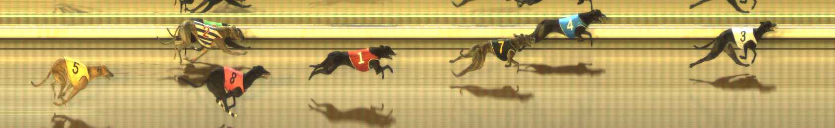 Photo finish for The Meadows Race 11