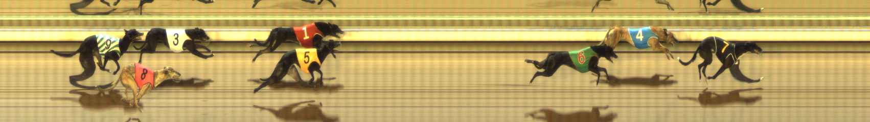 Photo finish for The Meadows Race 12