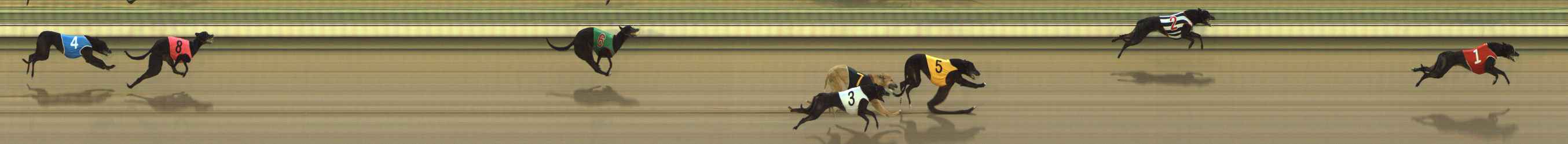 Photo finish for The Meadows Race 1