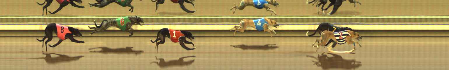 Photo finish for The Meadows Race 2